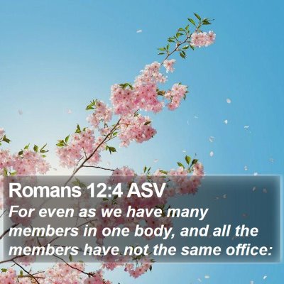 Romans 12:4 ASV Bible Verse Image