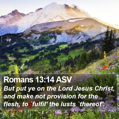 Romans 13:14 ASV Bible Verse Image