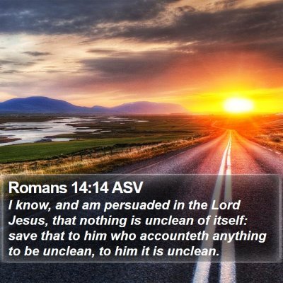 Romans 14:14 ASV Bible Verse Image