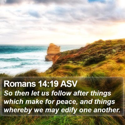 Romans 14:19 ASV Bible Verse Image