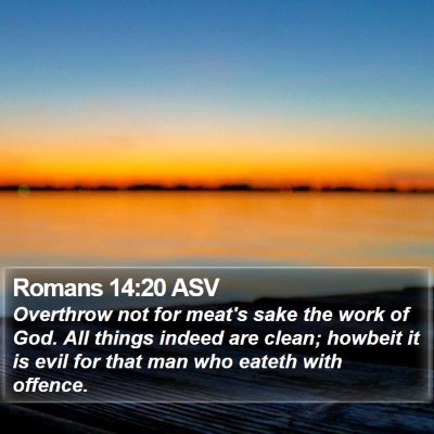 Romans 14:20 ASV Bible Verse Image