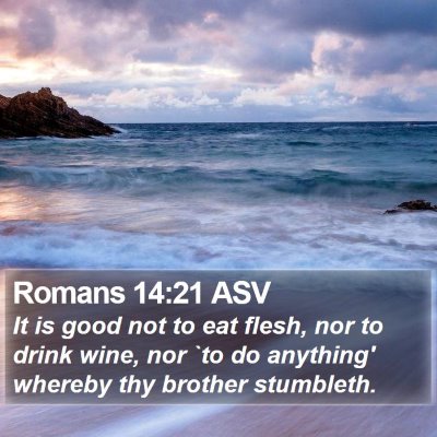 Romans 14:21 ASV Bible Verse Image