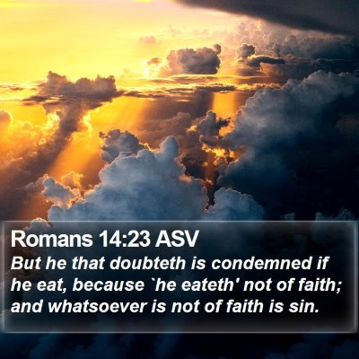 Romans 14:23 ASV Bible Verse Image