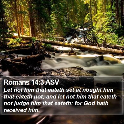 Romans 14:3 ASV Bible Verse Image