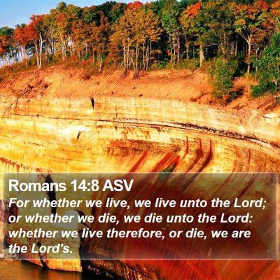 Romans 14:8 ASV Bible Verse Image