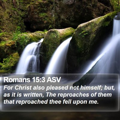 Romans 15:3 ASV Bible Verse Image