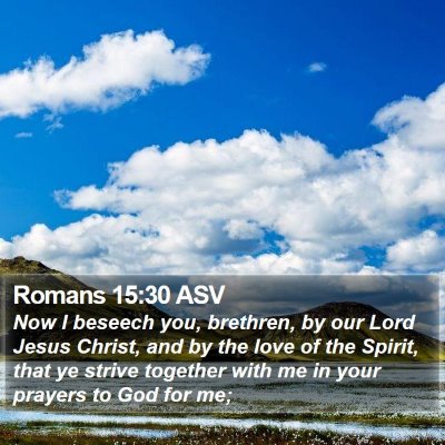 Romans 15:30 ASV Bible Verse Image