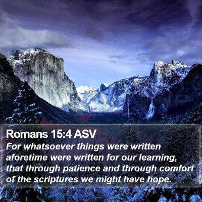 Romans 15:4 ASV Bible Verse Image