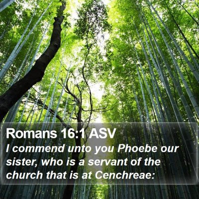 Romans 16:1 ASV Bible Verse Image