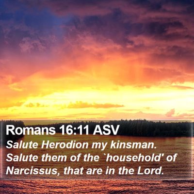 Romans 16:11 ASV Bible Verse Image