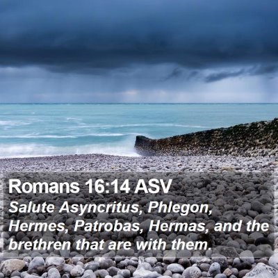 Romans 16:14 ASV Bible Verse Image