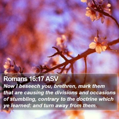 Romans 16:17 ASV Bible Verse Image