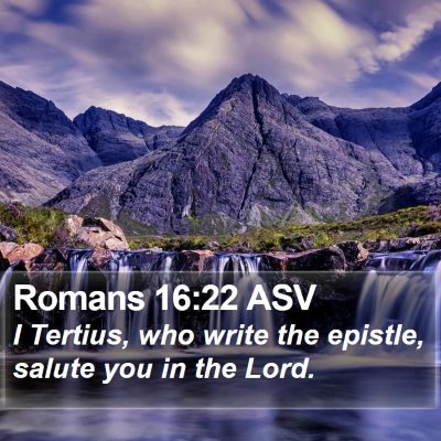 Romans 16:22 ASV Bible Verse Image