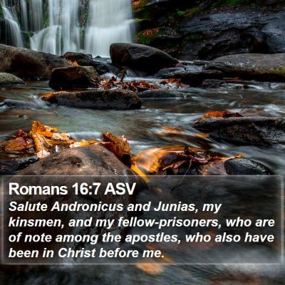 Romans 16:7 ASV Bible Verse Image