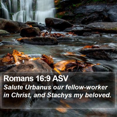 Romans 16:9 ASV Bible Verse Image