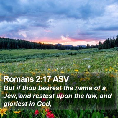 Romans 2:17 ASV Bible Verse Image