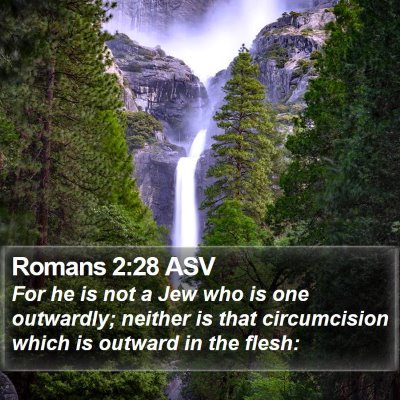 Romans 2:28 ASV Bible Verse Image