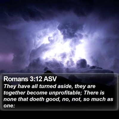 Romans 3:12 ASV Bible Verse Image