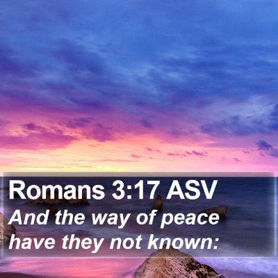 Romans 3:17 ASV Bible Verse Image
