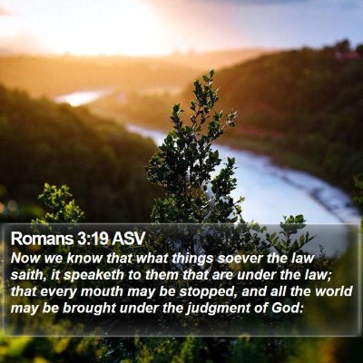 Romans 3:19 ASV Bible Verse Image