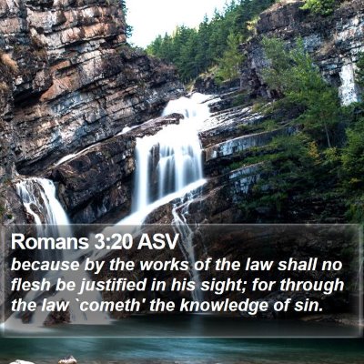 Romans 3:20 ASV Bible Verse Image