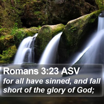 Romans 3:23 ASV Bible Verse Image