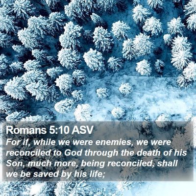 Romans 5:10 ASV Bible Verse Image