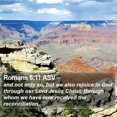 Romans 5:11 ASV Bible Verse Image