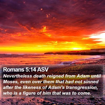 Romans 5:14 ASV Bible Verse Image