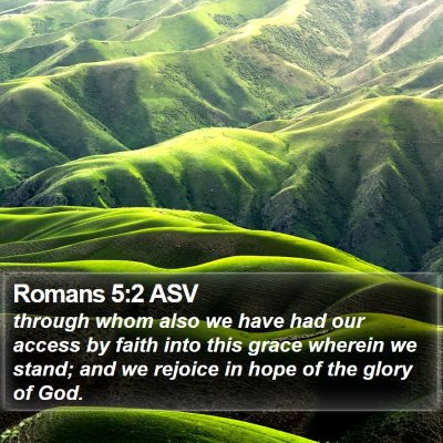 Romans 5:2 ASV Bible Verse Image