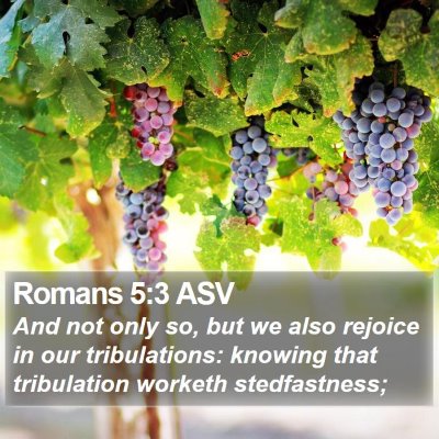 Romans 5:3 ASV Bible Verse Image