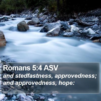 Romans 5:4 ASV Bible Verse Image