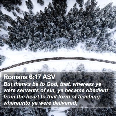 Romans 6:17 ASV Bible Verse Image