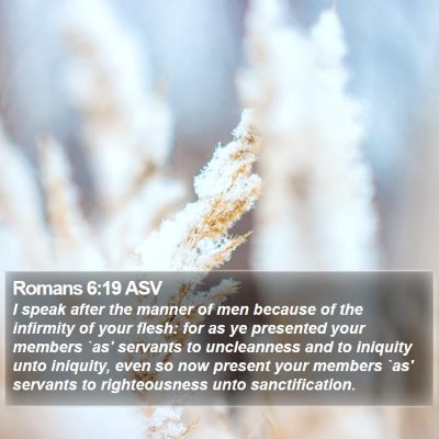 Romans 6:19 ASV Bible Verse Image