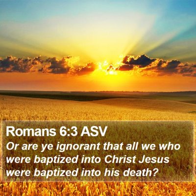 Romans 6:3 ASV Bible Verse Image