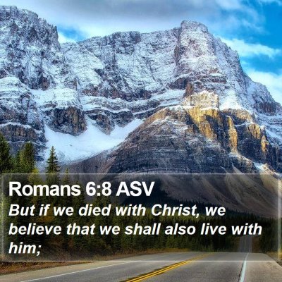 Romans 6:8 ASV Bible Verse Image