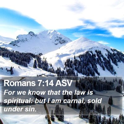 Romans 7:14 ASV Bible Verse Image