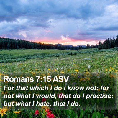 Romans 7:15 ASV Bible Verse Image