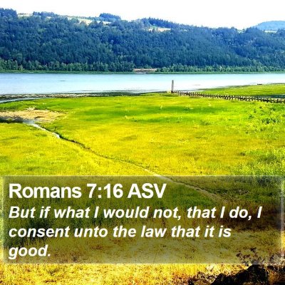 Romans 7:16 ASV Bible Verse Image