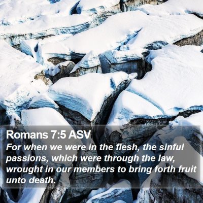 Romans 7:5 ASV Bible Verse Image