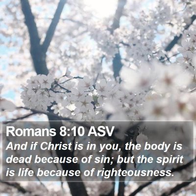 Romans 8:10 ASV Bible Verse Image