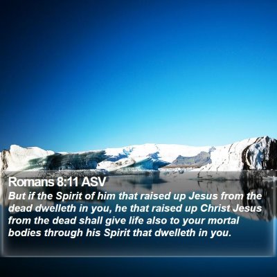 Romans 8:11 ASV Bible Verse Image