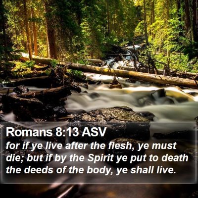 Romans 8:13 ASV Bible Verse Image