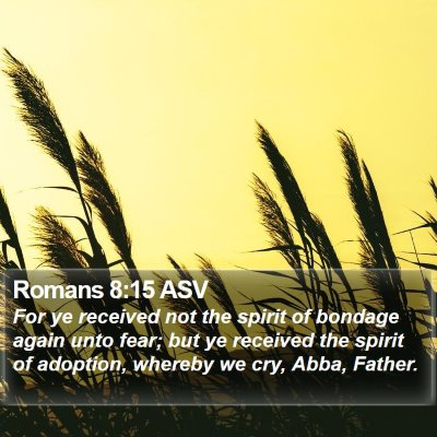 Romans 8:15 ASV Bible Verse Image