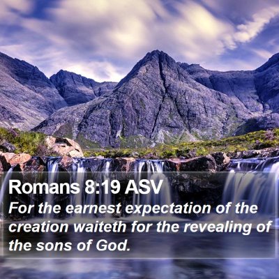 Romans 8:19 ASV Bible Verse Image