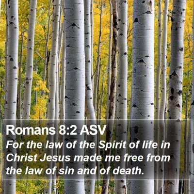 Romans 8:2 ASV Bible Verse Image