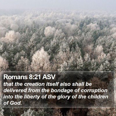 Romans 8:21 ASV Bible Verse Image
