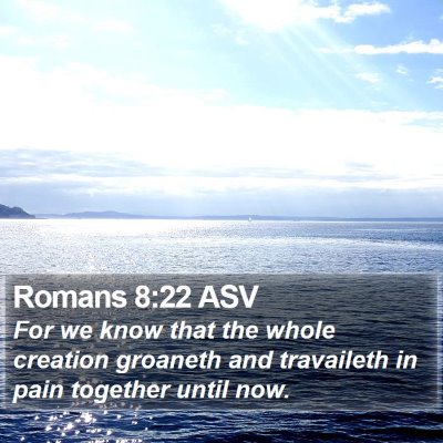 Romans 8:22 ASV Bible Verse Image