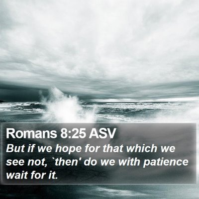 Romans 8:25 ASV Bible Verse Image