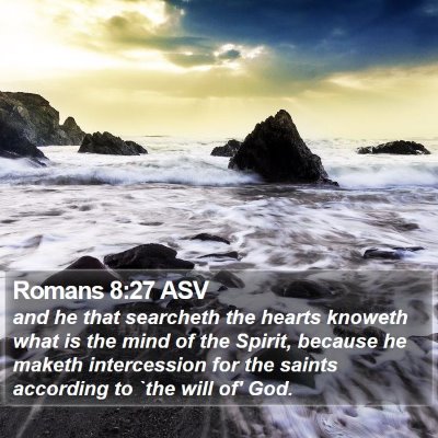 Romans 8:27 ASV Bible Verse Image
